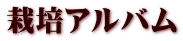͔|Ao